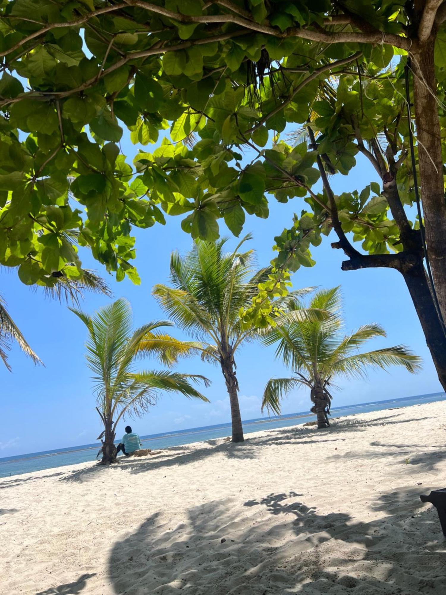 Waves And Wanderlust-Diani Beach Exterior photo