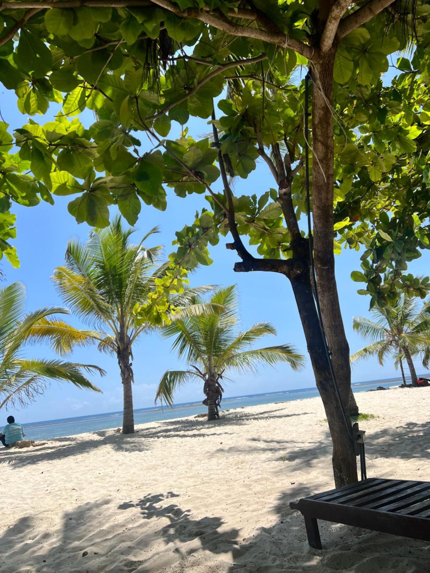 Waves And Wanderlust-Diani Beach Exterior photo