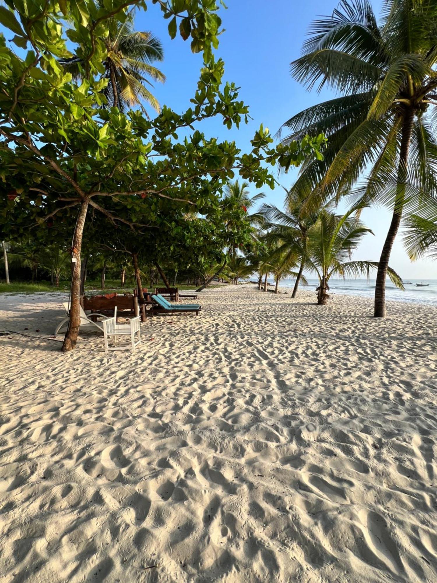 Waves And Wanderlust-Diani Beach Exterior photo