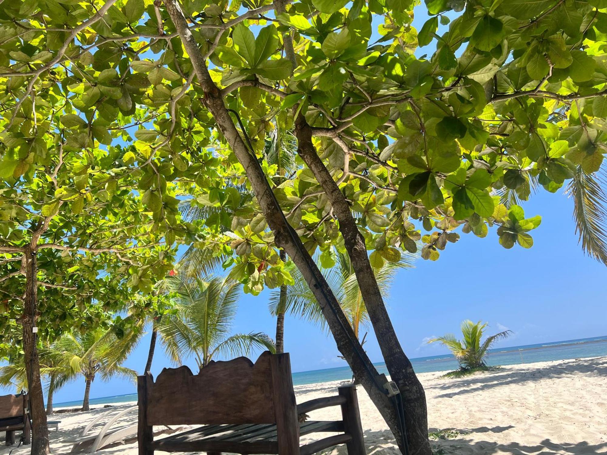 Waves And Wanderlust-Diani Beach Exterior photo